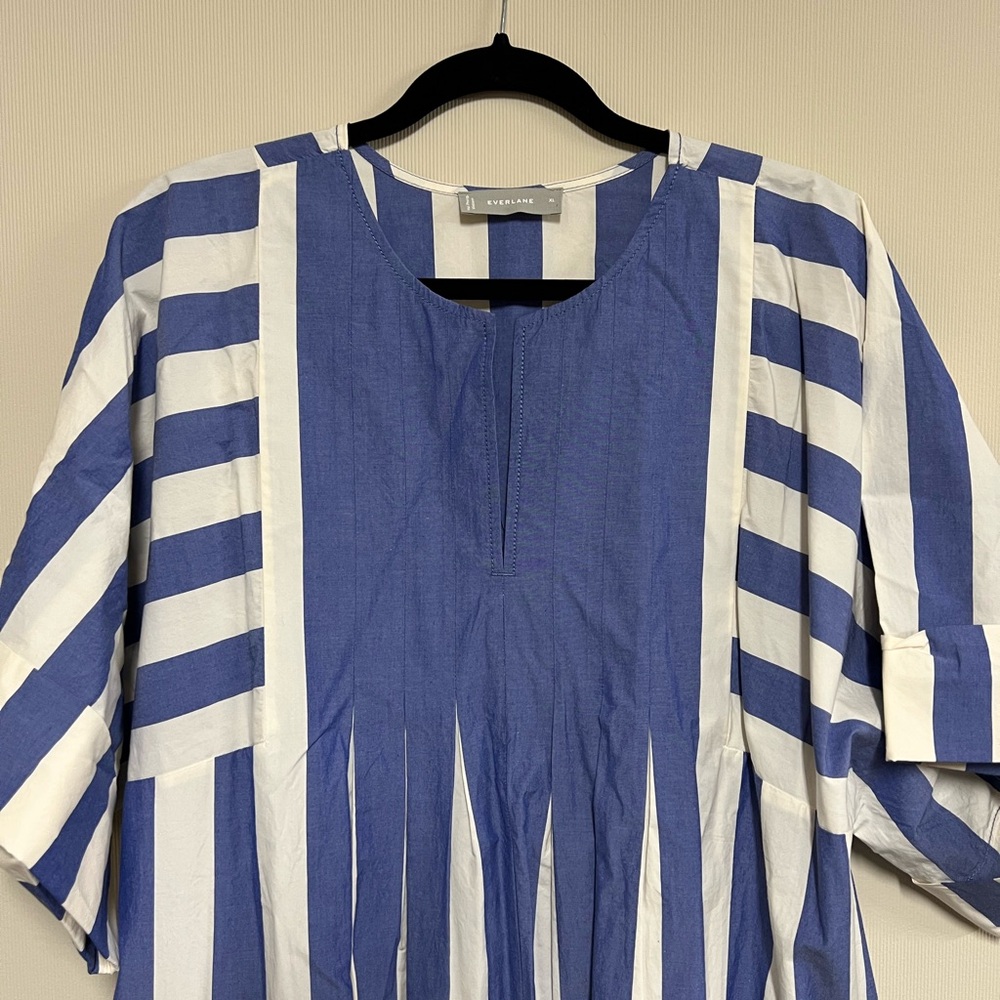 Everlane Blue and White Striped Dress